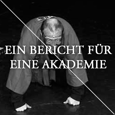 EIN BERICHT FÜR EINE AKADEMIE