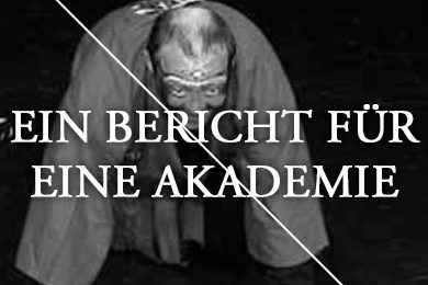 EIN BERICHT FÜR EINE AKADEMIE